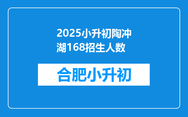 2025小升初陶冲湖168招生人数