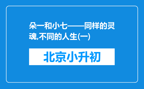 朵一和小七——同样的灵魂,不同的人生(一)