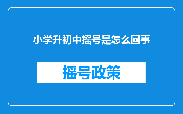 小学升初中摇号是怎么回事