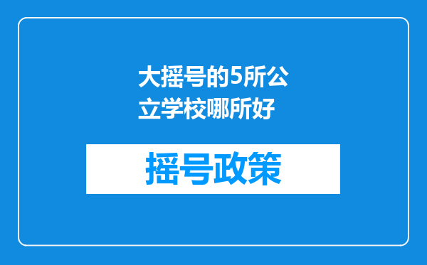 大摇号的5所公立学校哪所好