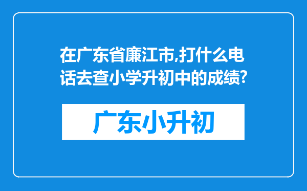 在广东省廉江市,打什么电话去查小学升初中的成绩?