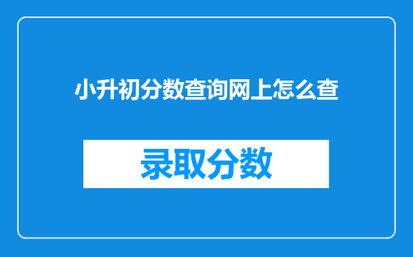 小升初分数查询网上怎么查