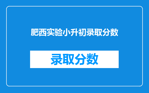 肥西县山南镇洪桥小学六(1)班卫健武2025小升初分数是多少?