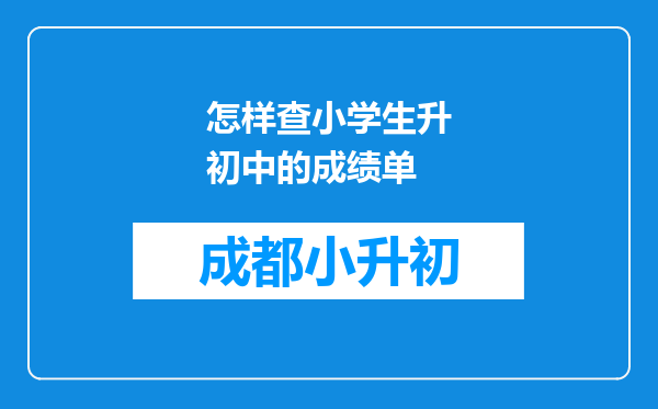 怎样查小学生升初中的成绩单