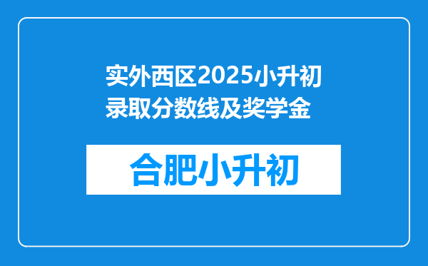 实外西区2025小升初录取分数线及奖学金