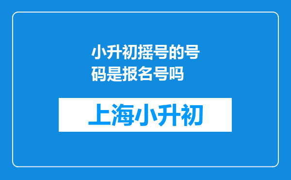 小升初摇号的号码是报名号吗