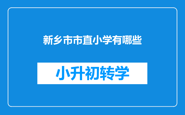 新乡市市直小学有哪些