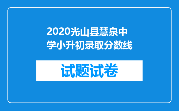 2020光山县慧泉中学小升初录取分数线