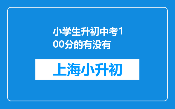 小学生升初中考100分的有没有