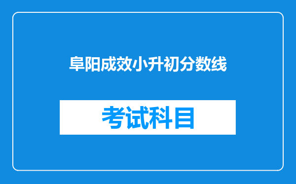 阜阳成效小升初分数线