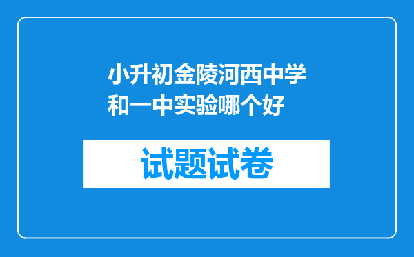 小升初金陵河西中学和一中实验哪个好