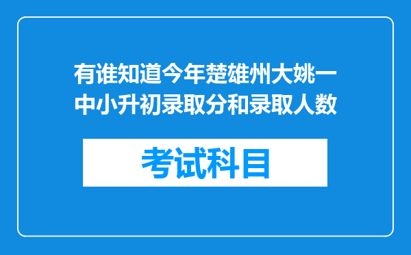 有谁知道今年楚雄州大姚一中小升初录取分和录取人数