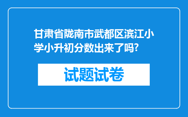 甘肃省陇南市武都区滨江小学小升初分数出来了吗?