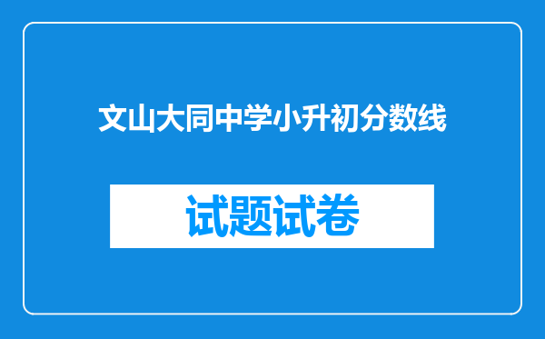 文山大同中学小升初分数线