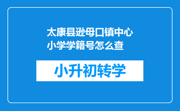 太康县逊母口镇中心小学学籍号怎么查