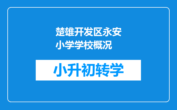 楚雄开发区永安小学学校概况