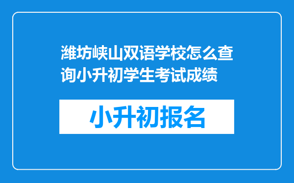 潍坊峡山双语学校怎么查询小升初学生考试成绩