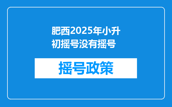 肥西2025年小升初摇号没有摇号