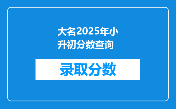 大名2025年小升初分数查询