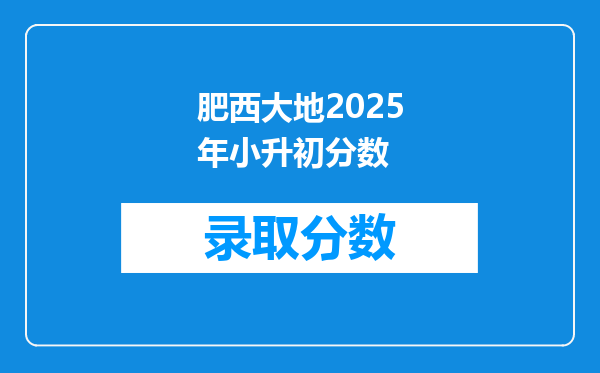 肥西大地2025年小升初分数