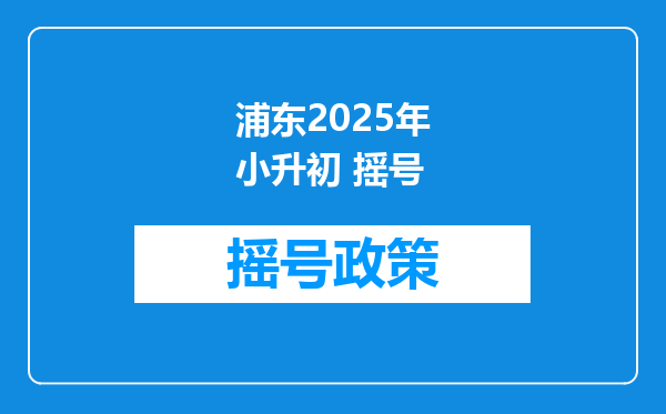 浦东2025年小升初 摇号