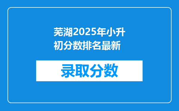 芜湖2025年小升初分数排名最新