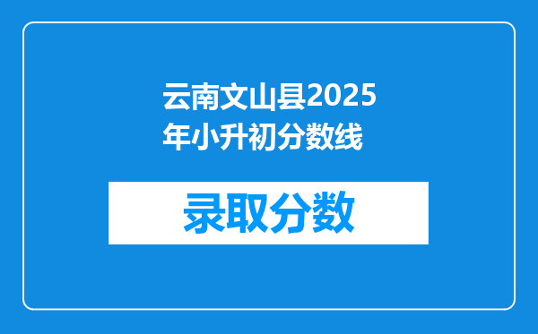 云南文山县2025年小升初分数线