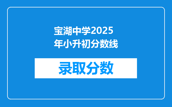 宝湖中学2025年小升初分数线