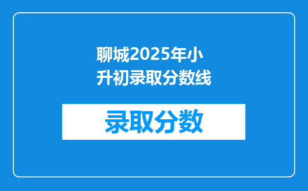 聊城2025年小升初录取分数线