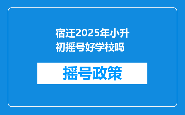 宿迁2025年小升初摇号好学校吗