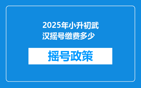 2025年小升初武汉摇号缴费多少