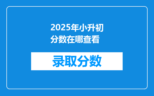 2025年小升初分数在哪查看