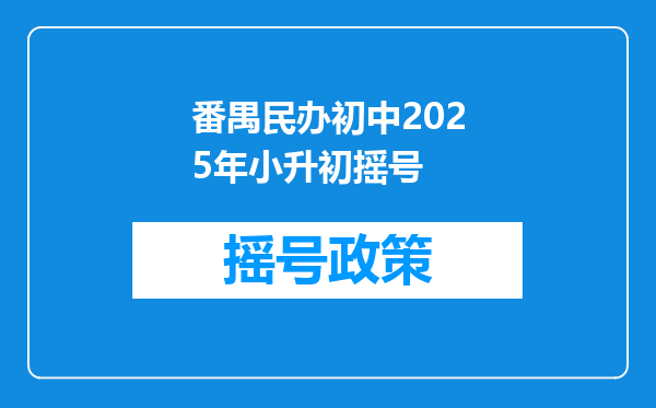 番禺民办初中2025年小升初摇号