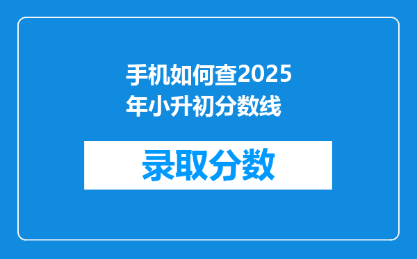 手机如何查2025年小升初分数线