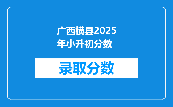 广西横县2025年小升初分数