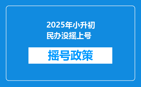 2025年小升初民办没摇上号