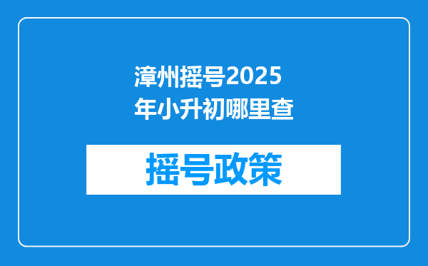 漳州摇号2025年小升初哪里查