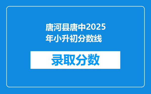 唐河县唐中2025年小升初分数线