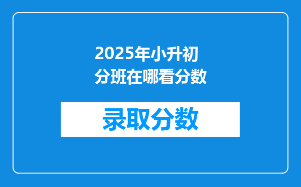 2025年小升初分班在哪看分数