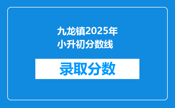 九龙镇2025年小升初分数线