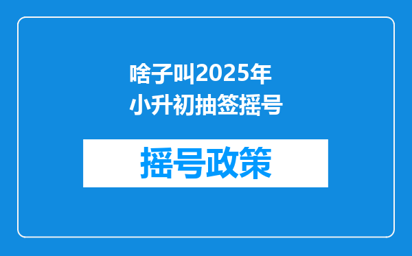 啥子叫2025年小升初抽签摇号