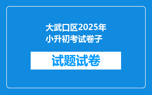 大武口区2025年小升初考试卷子