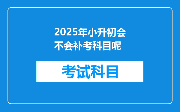 2025年小升初会不会补考科目呢