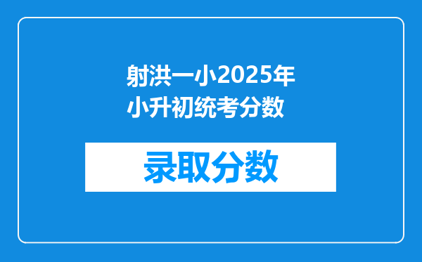 射洪一小2025年小升初统考分数