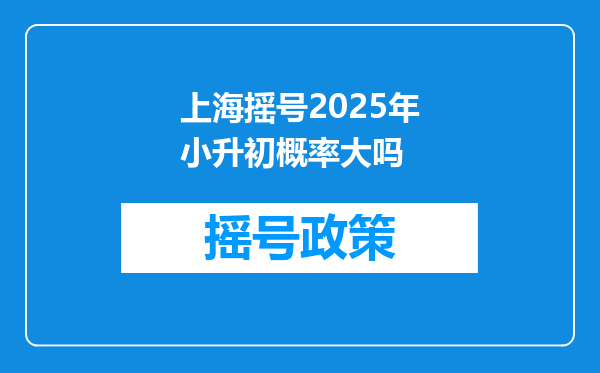 上海摇号2025年小升初概率大吗