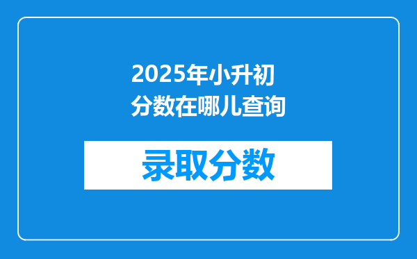 2025年小升初分数在哪儿查询