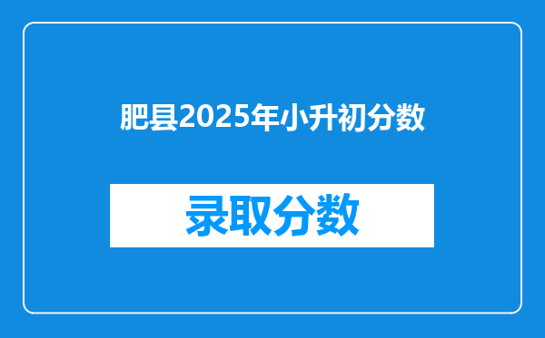 肥县2025年小升初分数