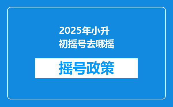 2025年小升初摇号去哪摇