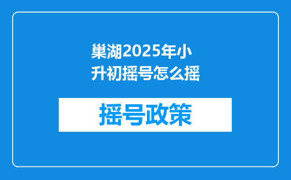 巢湖2025年小升初摇号怎么摇