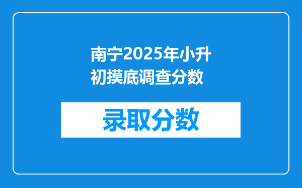 南宁2025年小升初摸底调查分数